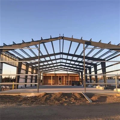 Оценка на устойчивостта на вятъра и земетресението на сградите на Стоманената...